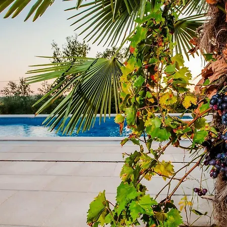 Holiday Paradise Holiday home *